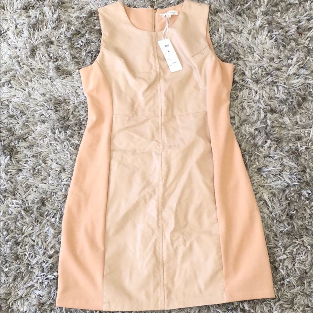 Runway Paris Dress